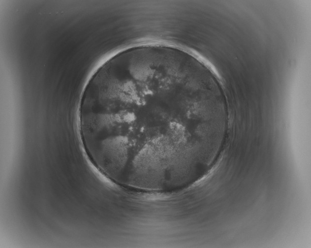 X0000112801239200908211127