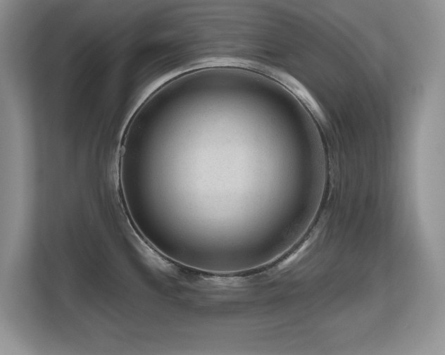 X0000112801244200908211127