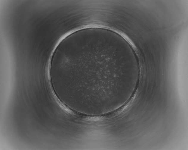 X0000112801246200908211127