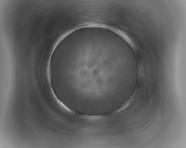 X0000112801247200908211127
