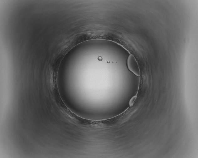 X0000112801250200908211126