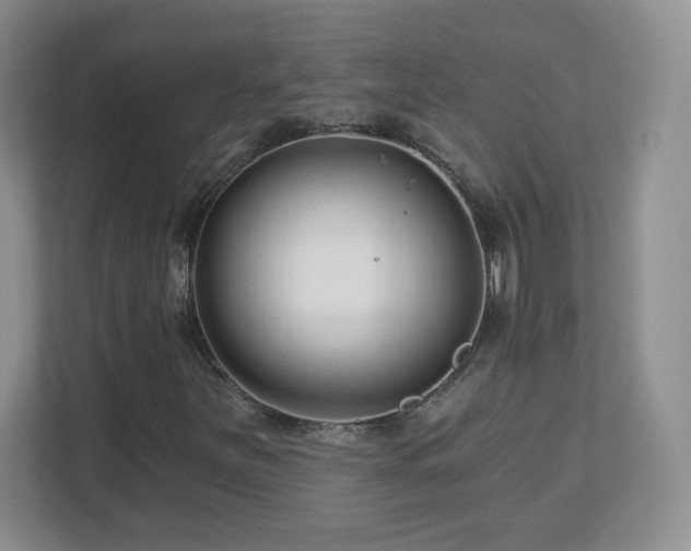 X0000112801251200908211126