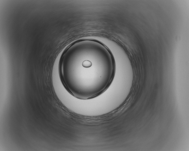X0000112801252200908211126