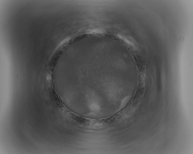 X0000112801254200908211126