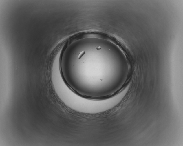 X0000112801255200908211126