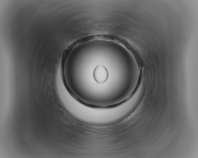X0000112801257200908211126