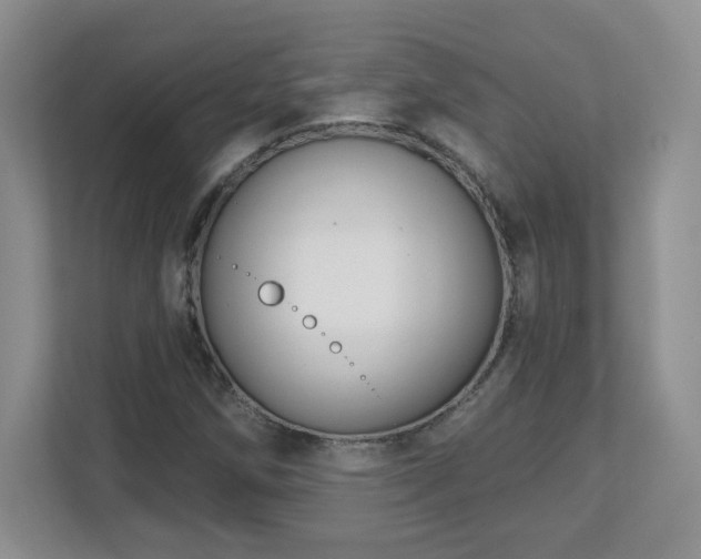 X0000112801258200908211126