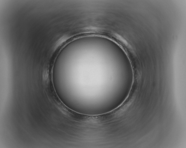 X0000112801259200908211126