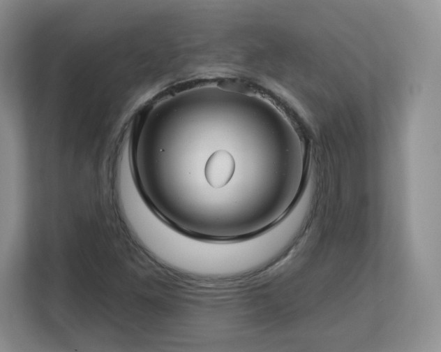 X0000112801261200908211126