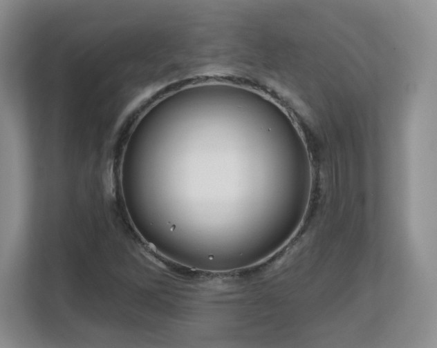 X0000112801262200908211126