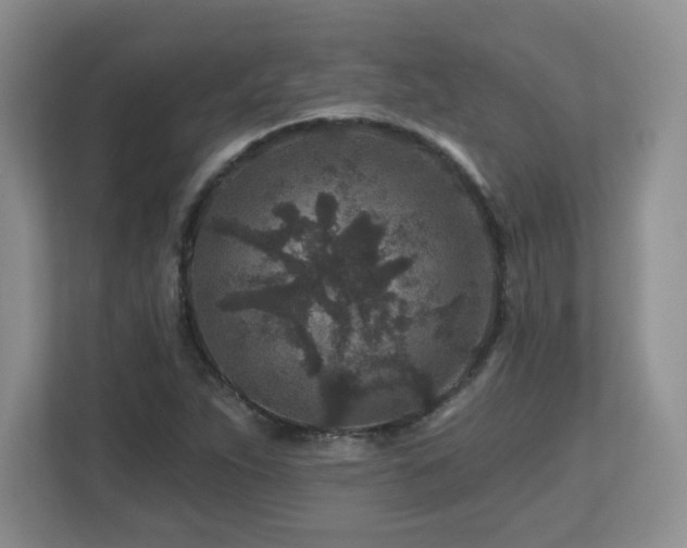 X0000112801263200908211126