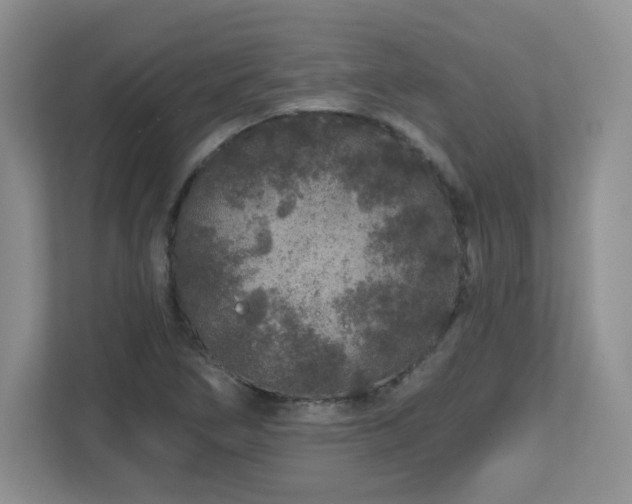 X0000112801266200908211126