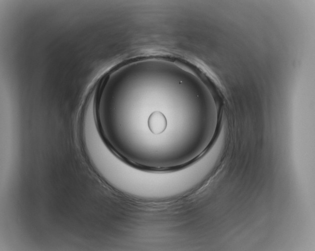 X0000112801269200908211126