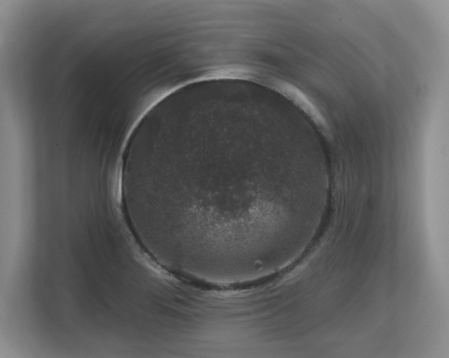 X0000112801276200908211126