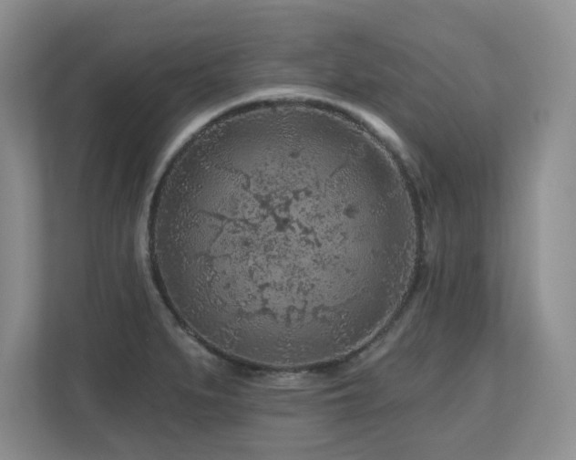 X0000112801279200908211126