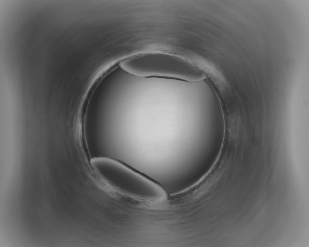 X0000112801280200908211126