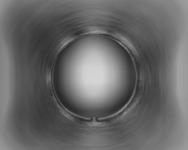 X0000112801281200908211126