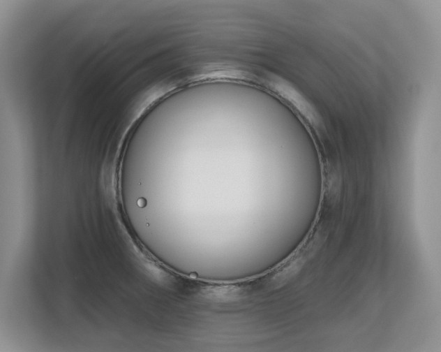 X0000112801282200908211126