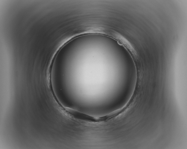 X0000112801284200908211126