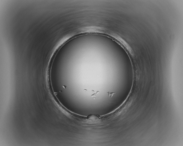 X0000112801285200908211126