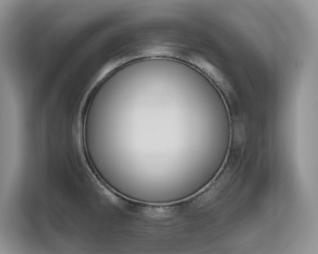 X0000112801286200908211126