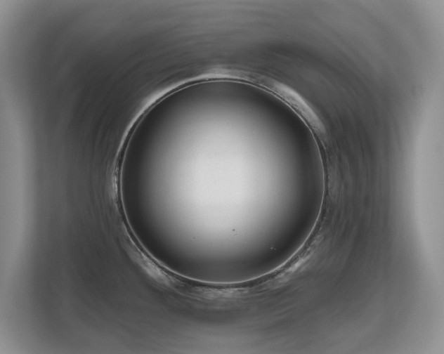 X0000112801292200908211126