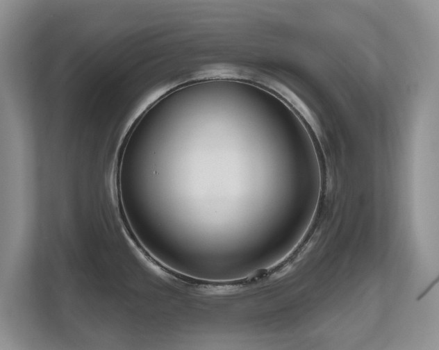 X0000112801293200908211126