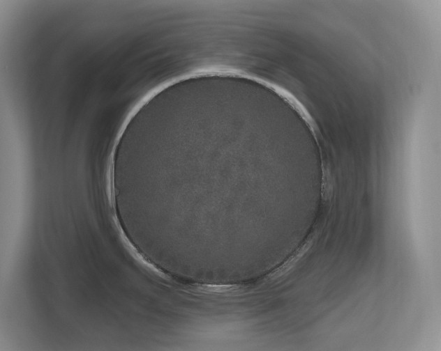 X0000112801295200908211126
