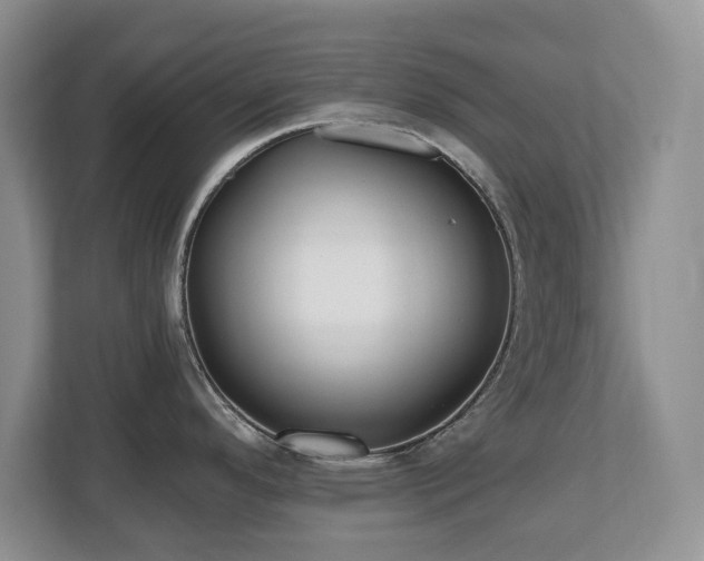 X0000112801296200908211126