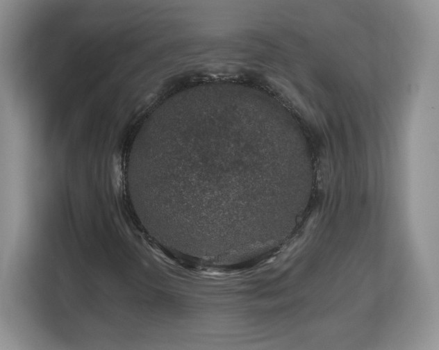 X0000112801298200908211125