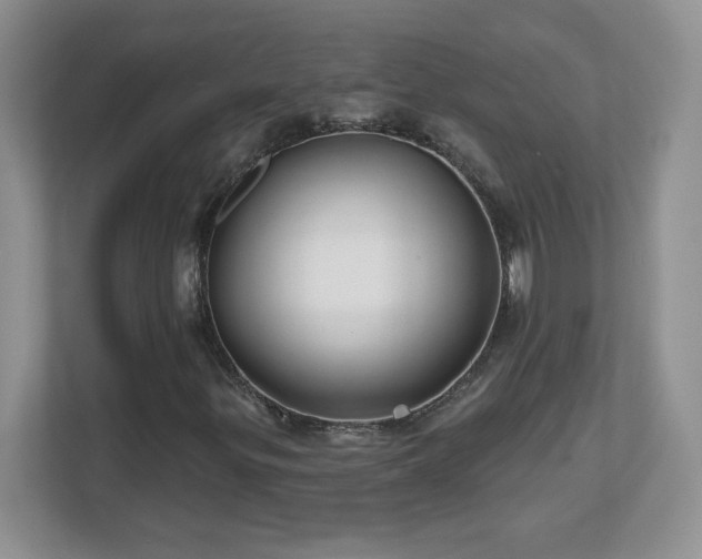 X0000112801299200908211125