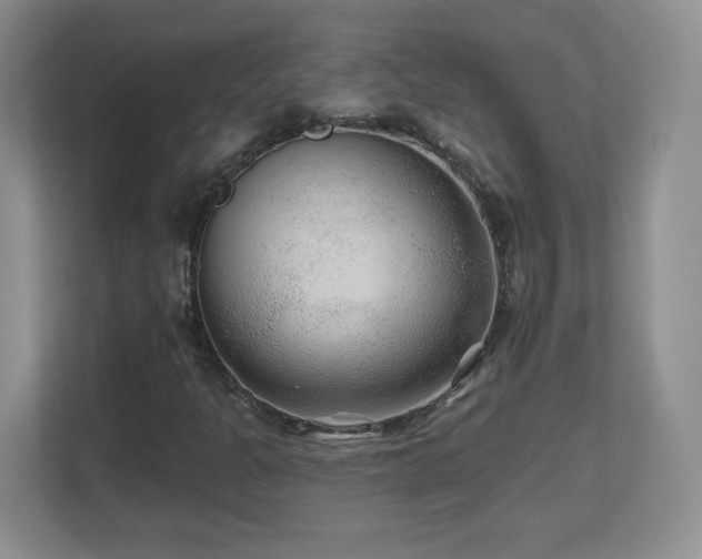 X0000112801301200908211125