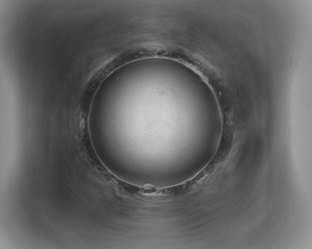 X0000112801302200908211125