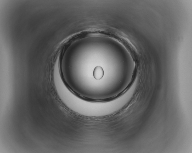X0000112801304200908211125