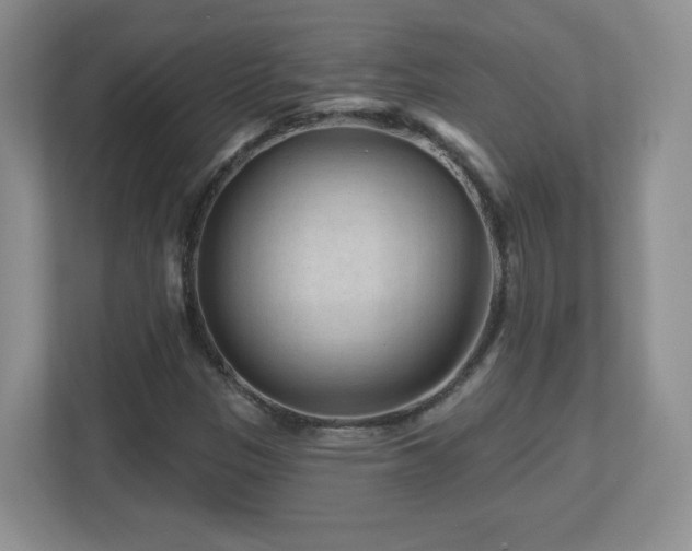 X0000112801305200908211125