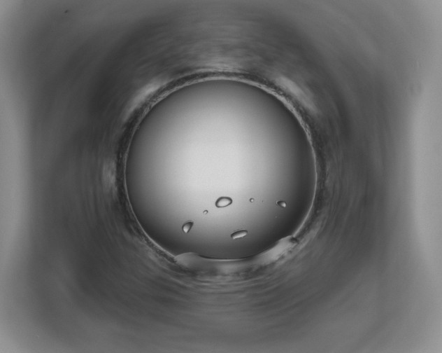 X0000112801307200908211125