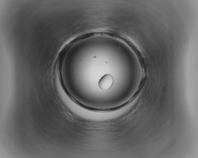 X0000112801308200908211125