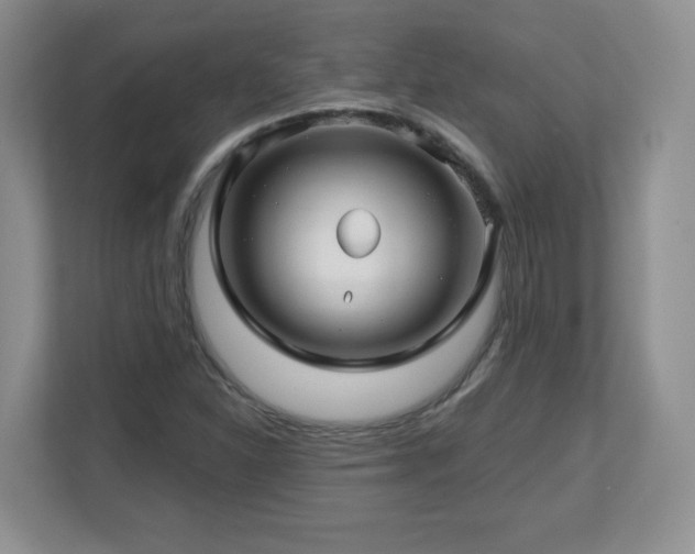 X0000112801310200908211125