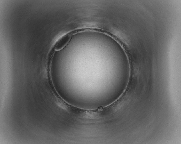 X0000112801312200908211125