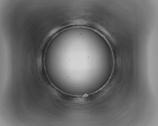 X0000112801315200908211125