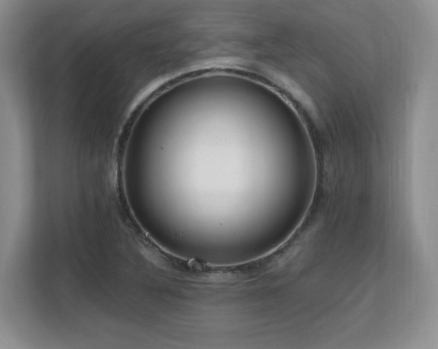 X0000112801316200908211125