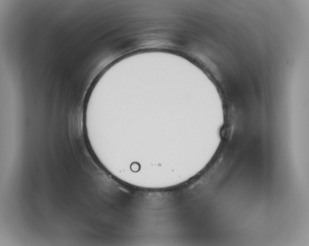 X0000112801322200908211125