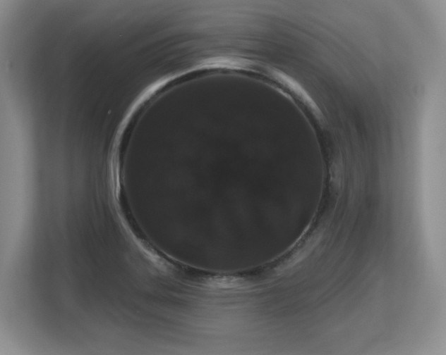 X0000112801323200908211125