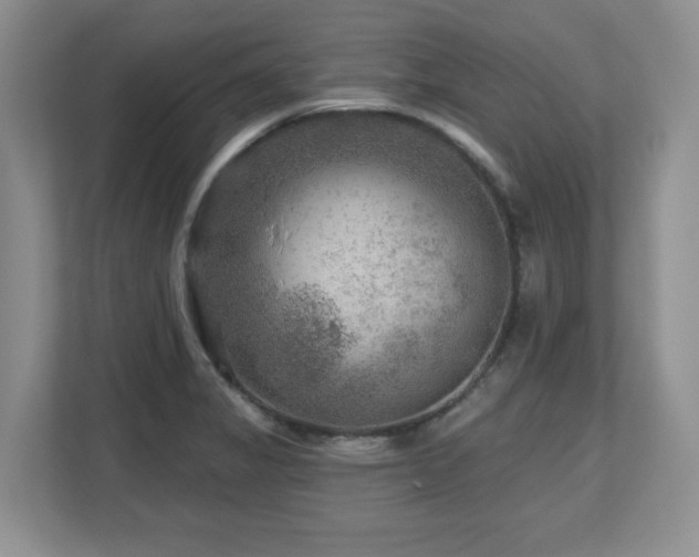 X0000112801325200908211125