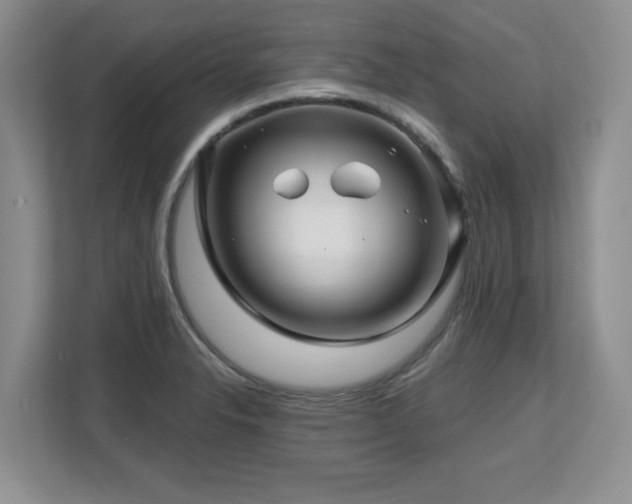 X0000112801326200908211126