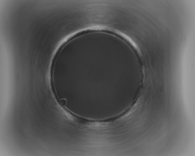 X0000112801327200908211126