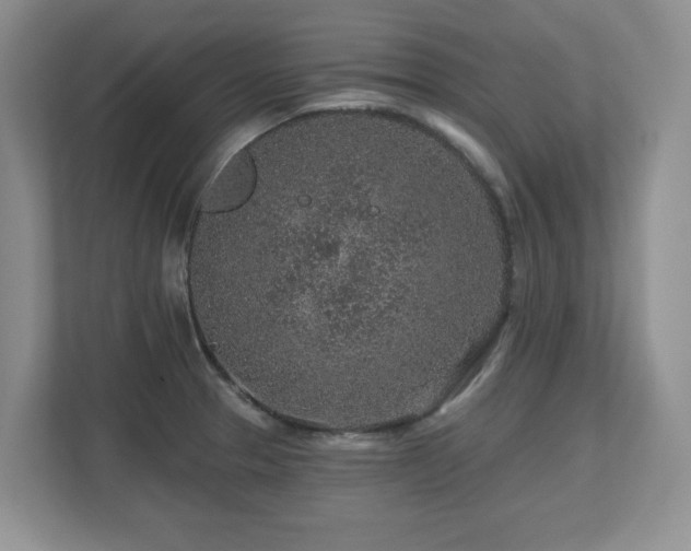 X0000112801329200908211126