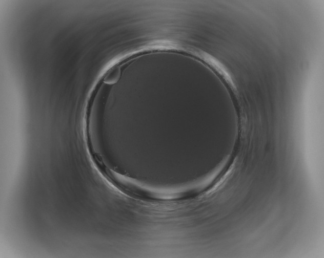 X0000112801334200908211126
