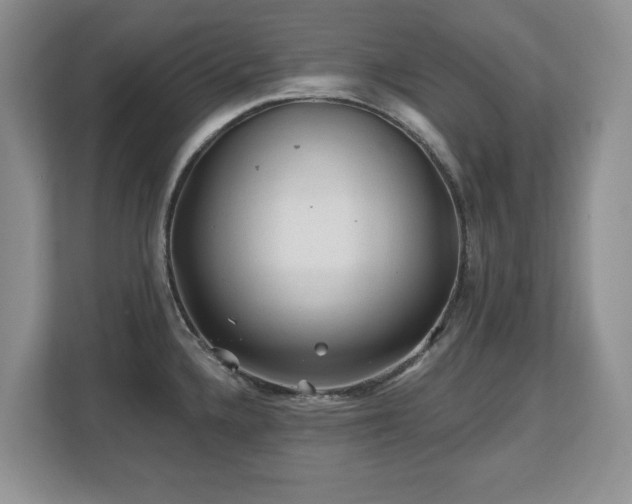 X0000112801336200908211126