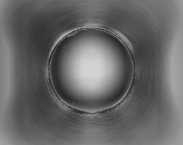 X0000112801340200908211126